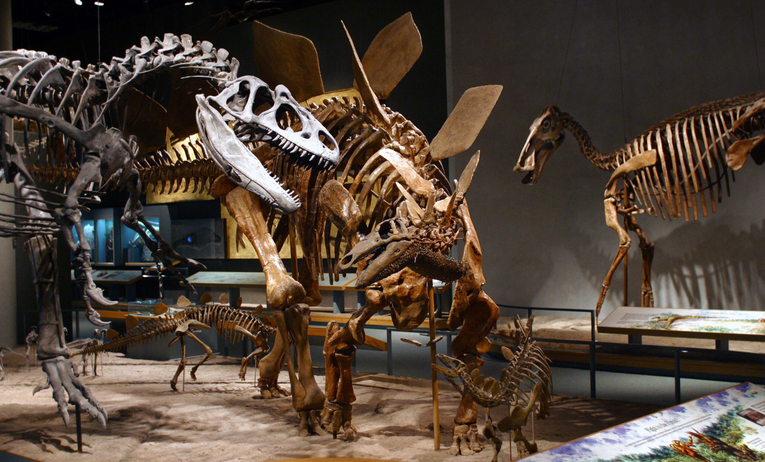 Denver Museum of Nature & Science updates beloved exhibit – 98.5 KYGO