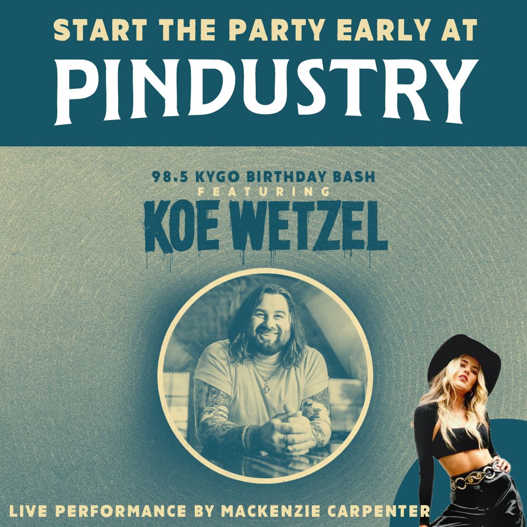 Pindustry