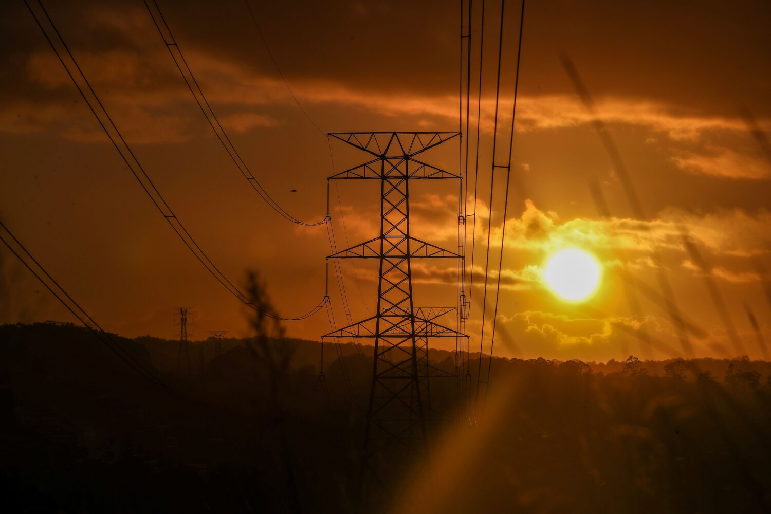 Photo by Roni Bintang/Getty Images...