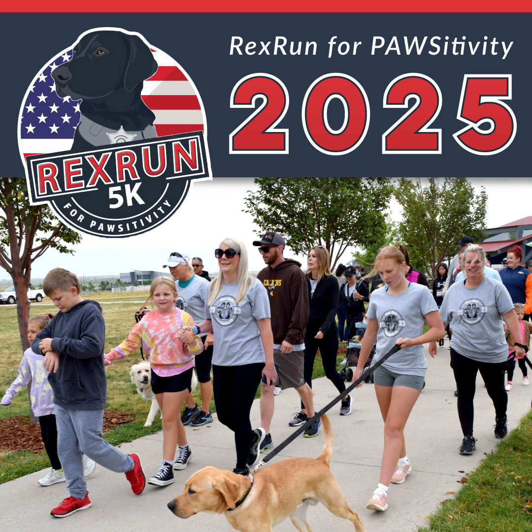 RexRun