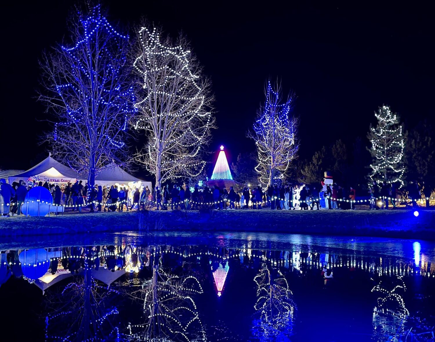 Winter Wonderlights...