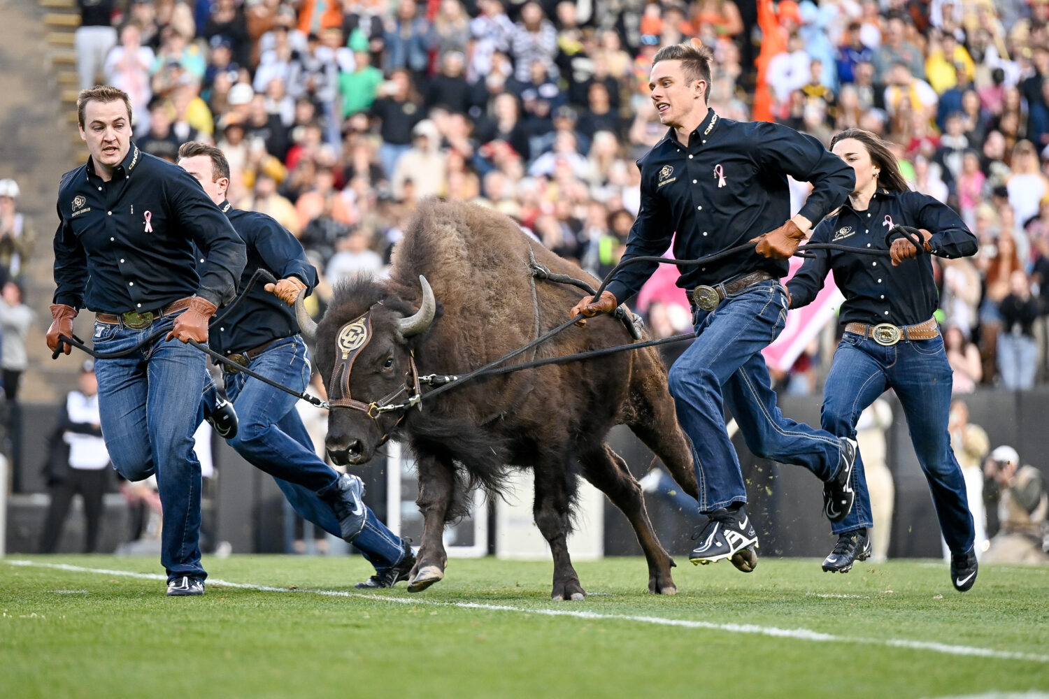Photo by Dustin Bradford/Getty Images...