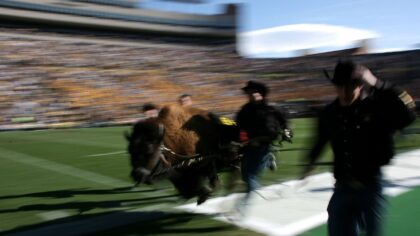Photo by Doug Pensinger/Getty Images...