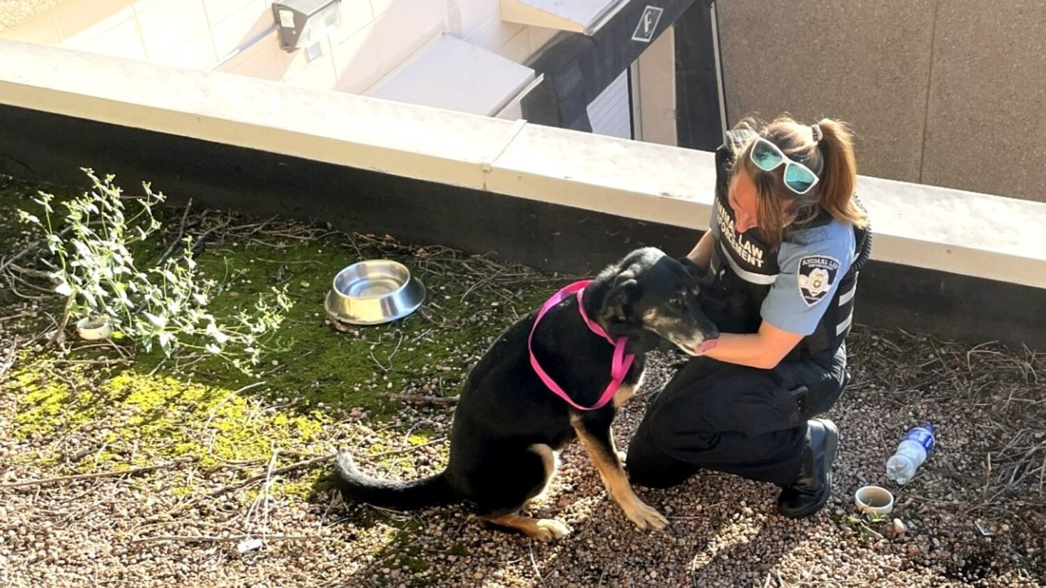 Humane Society of the Pikes Peak Region...