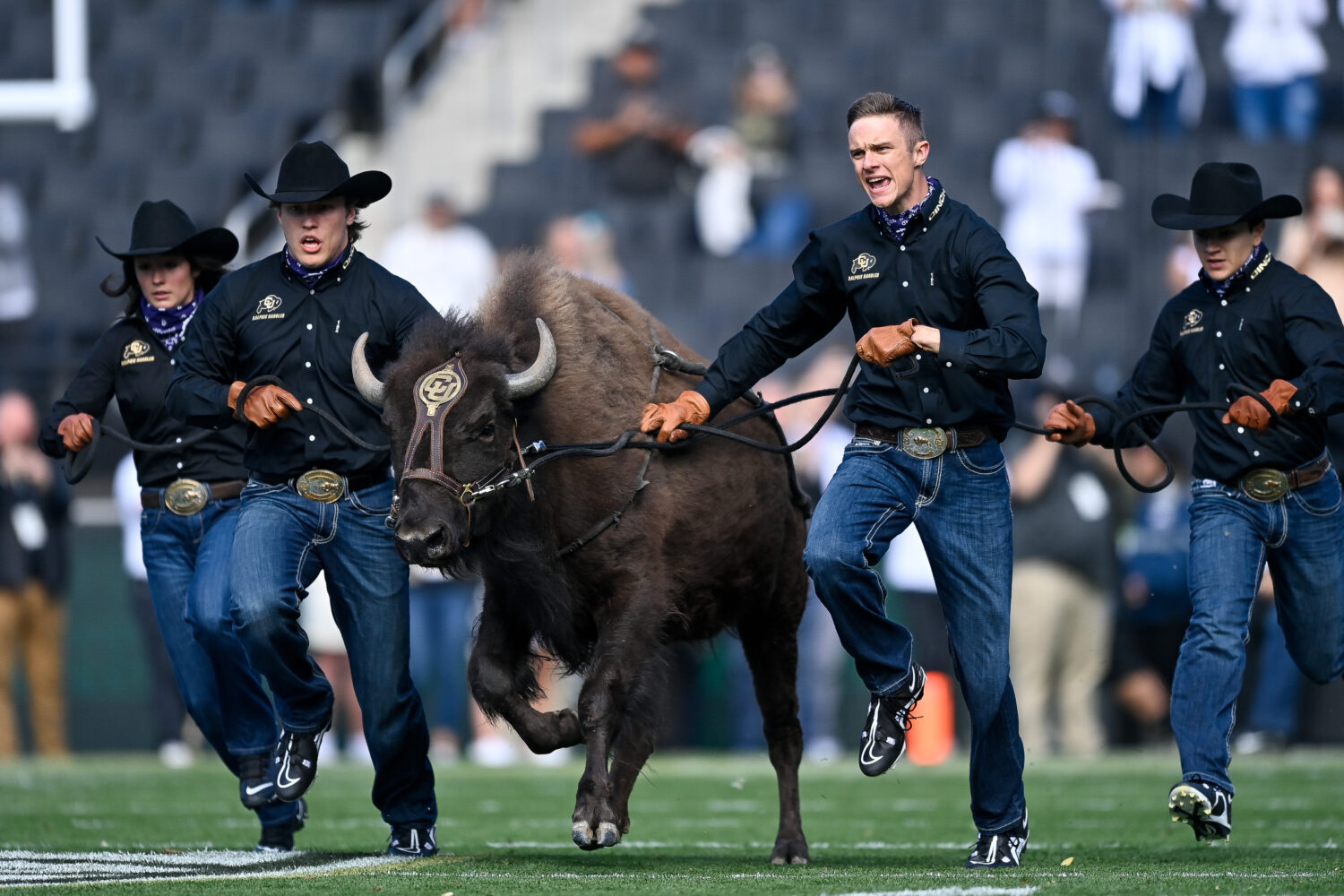 (Photo by Dustin Bradford/Getty Images)...