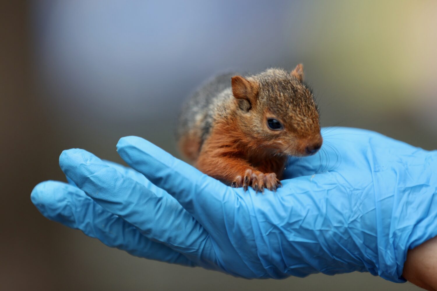 Photo by Omer Urer/Anadolu via Getty Images...
