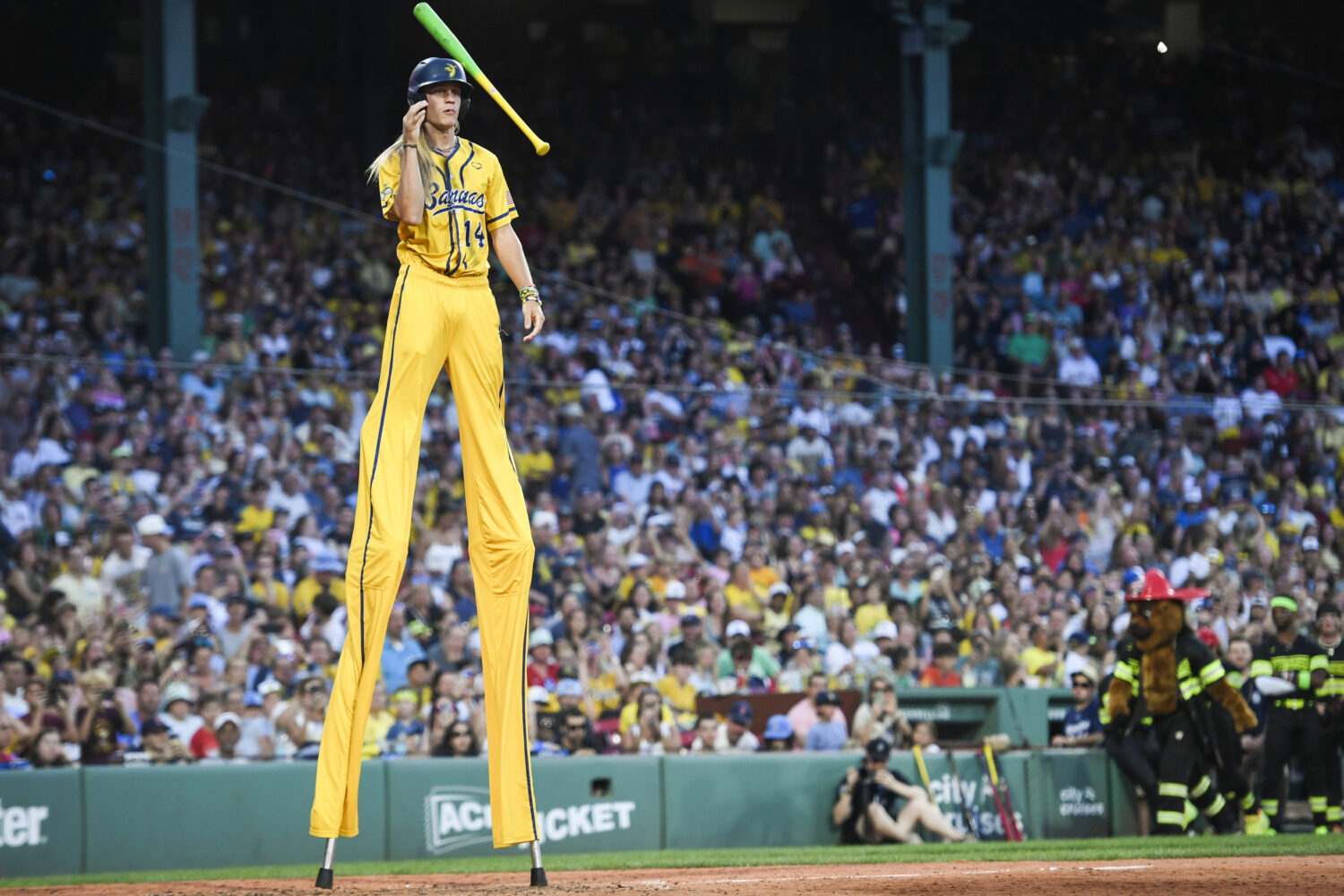 Photo by Jaiden Tripi/Getty Images...