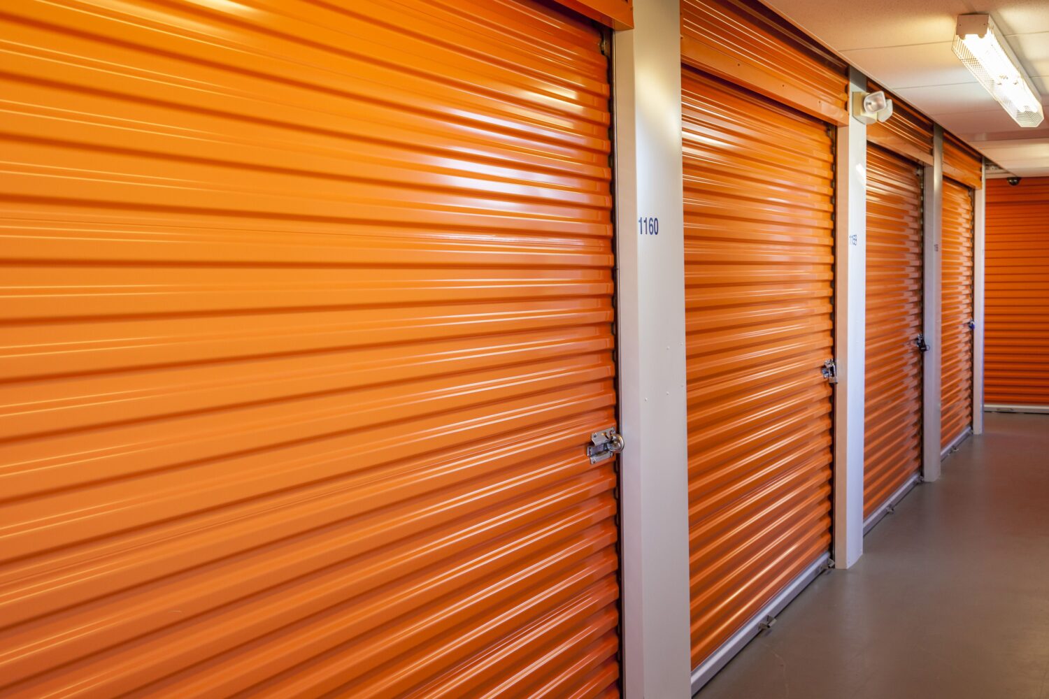 (Photo by: Ron Buskirk/UCG/Universal Images Group via Getty Images)...