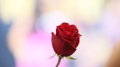 (Photo by Rodin Eckenroth/Getty Images for Disney)...