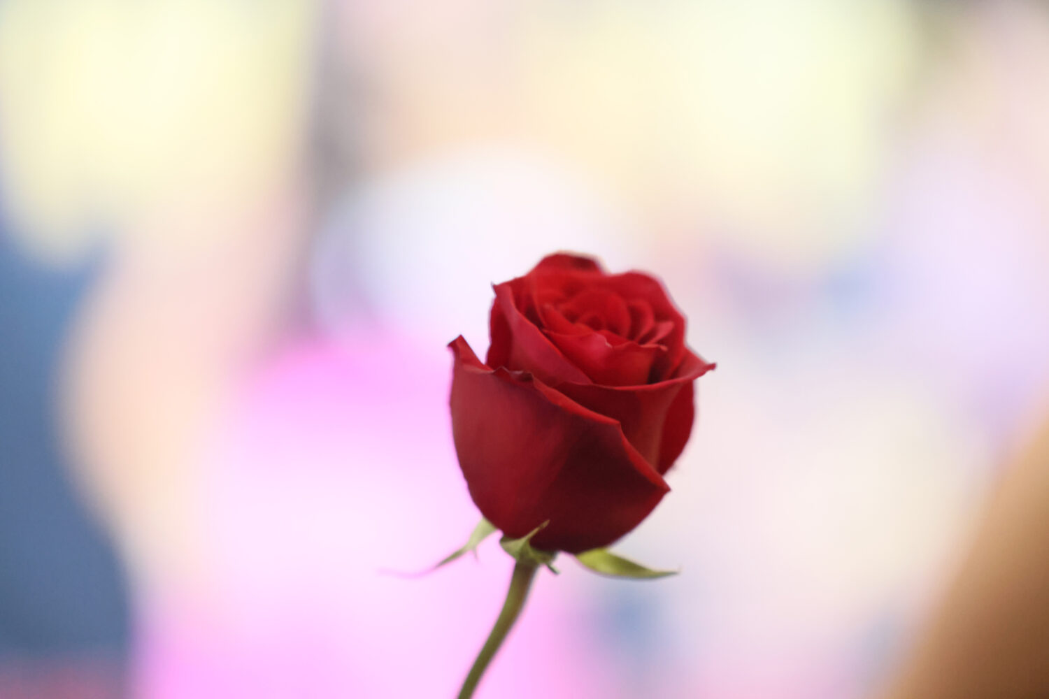 (Photo by Rodin Eckenroth/Getty Images for Disney)...