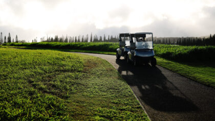 (Photo by Sarah Stier/Getty Images)...