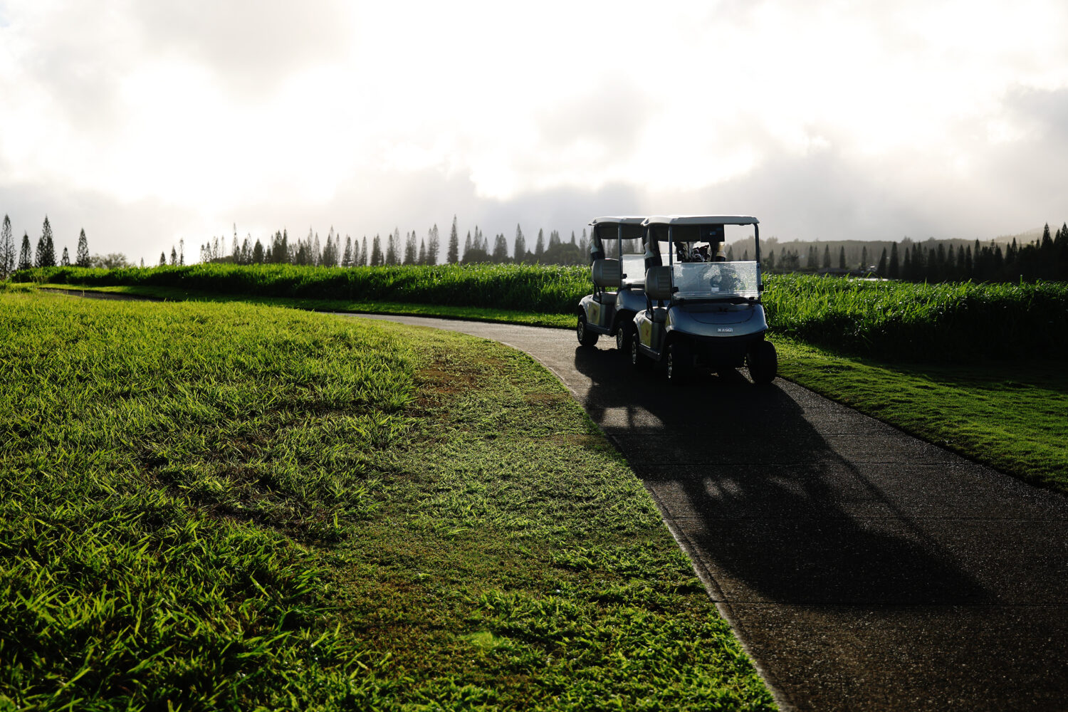 (Photo by Sarah Stier/Getty Images)...