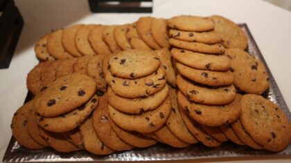 (Photo by Gustavo Caballero/Getty Images for Sarasota Film Festival 2013)...