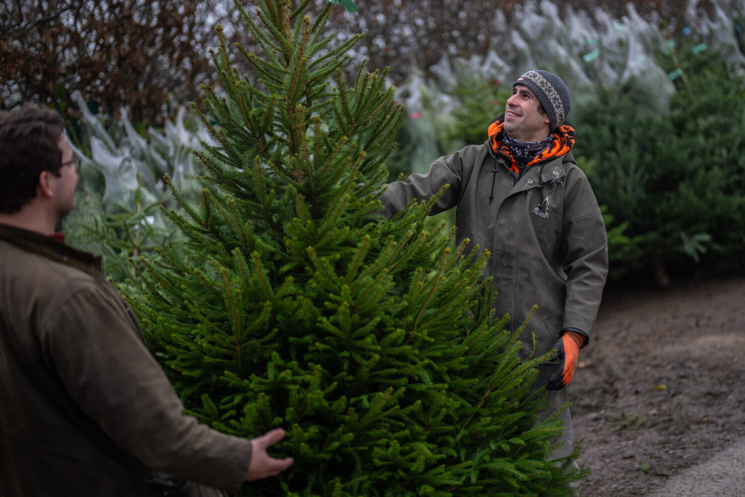(Photo by Carl Court/Getty Images)...