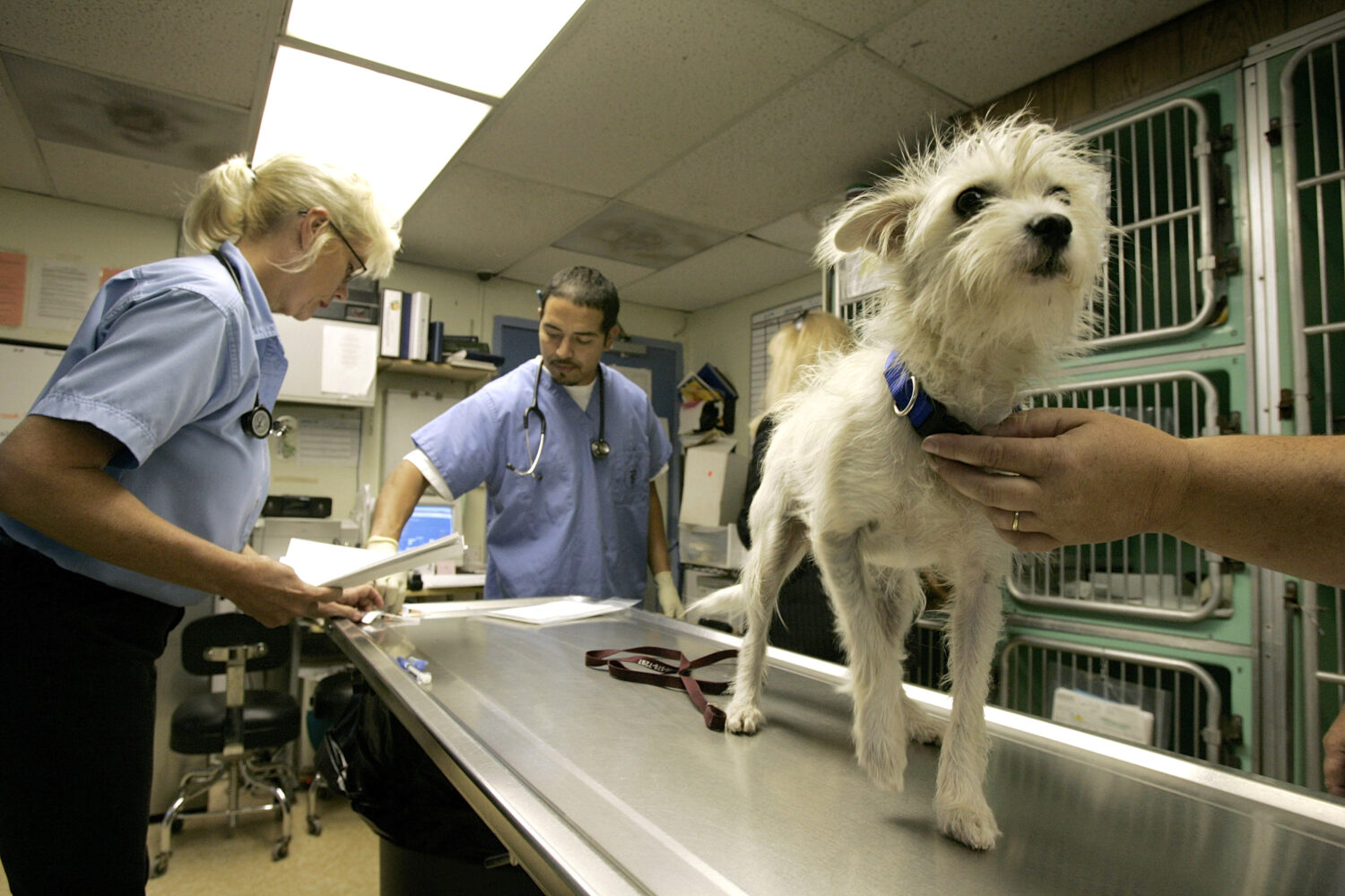 Photo by David Paul Morris/Getty Images...