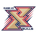 Extreme Bulls