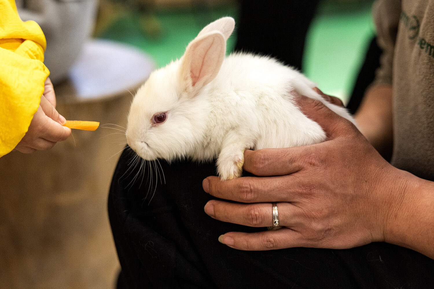 (Photo by Getty Images)...