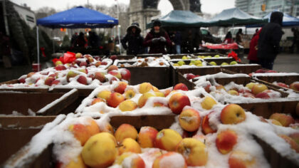 Photo by Spencer Platt/Getty Images...