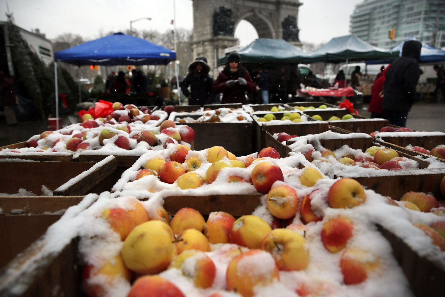 Photo by Spencer Platt/Getty Images...