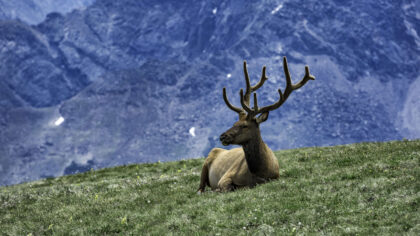 Photo by John Greim/LightRocket via Getty Images...