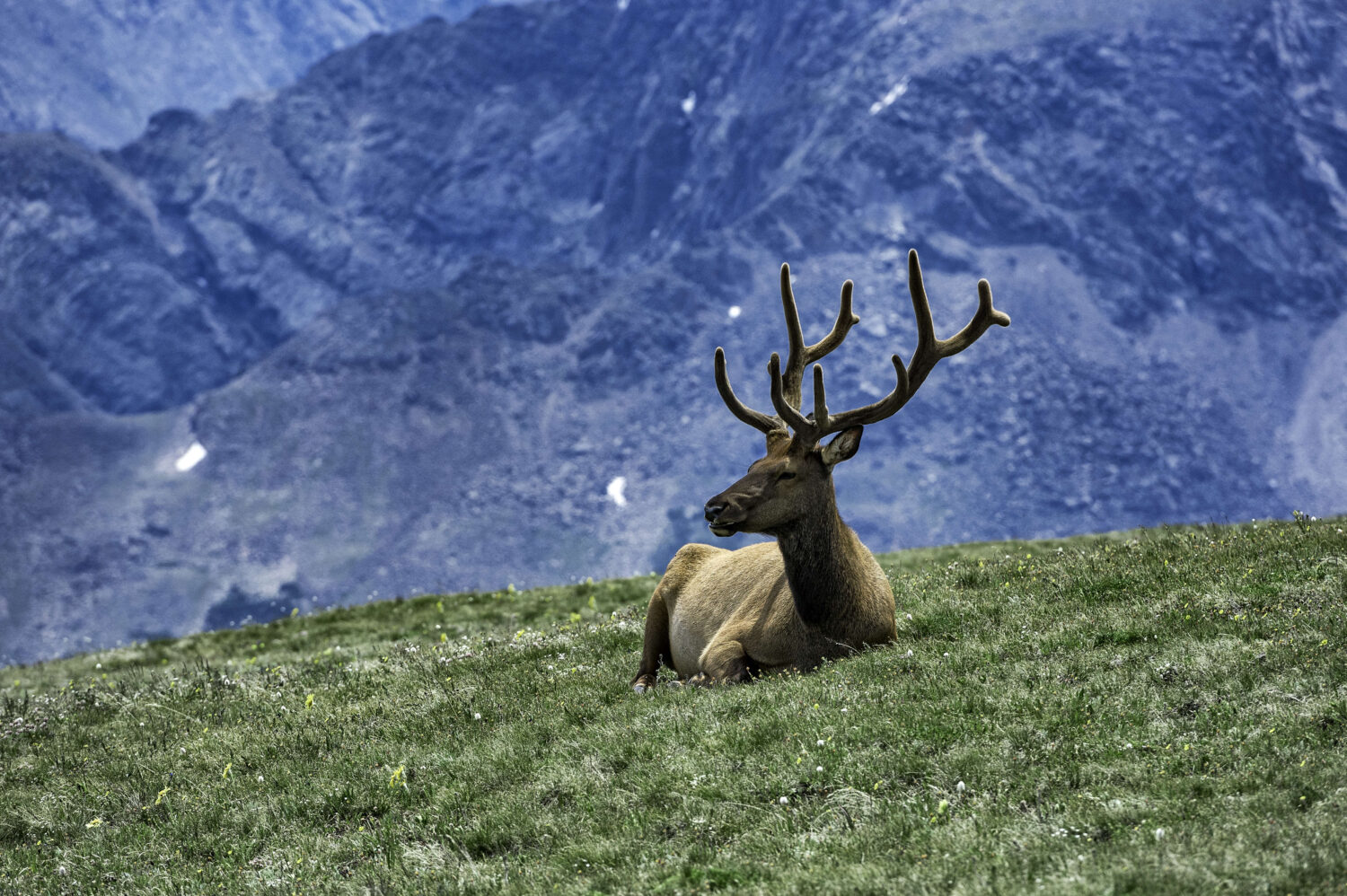 Photo by John Greim/LightRocket via Getty Images...