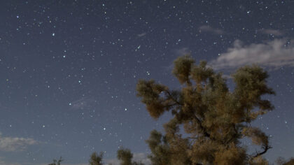 Photo by David McNew/Getty Images...