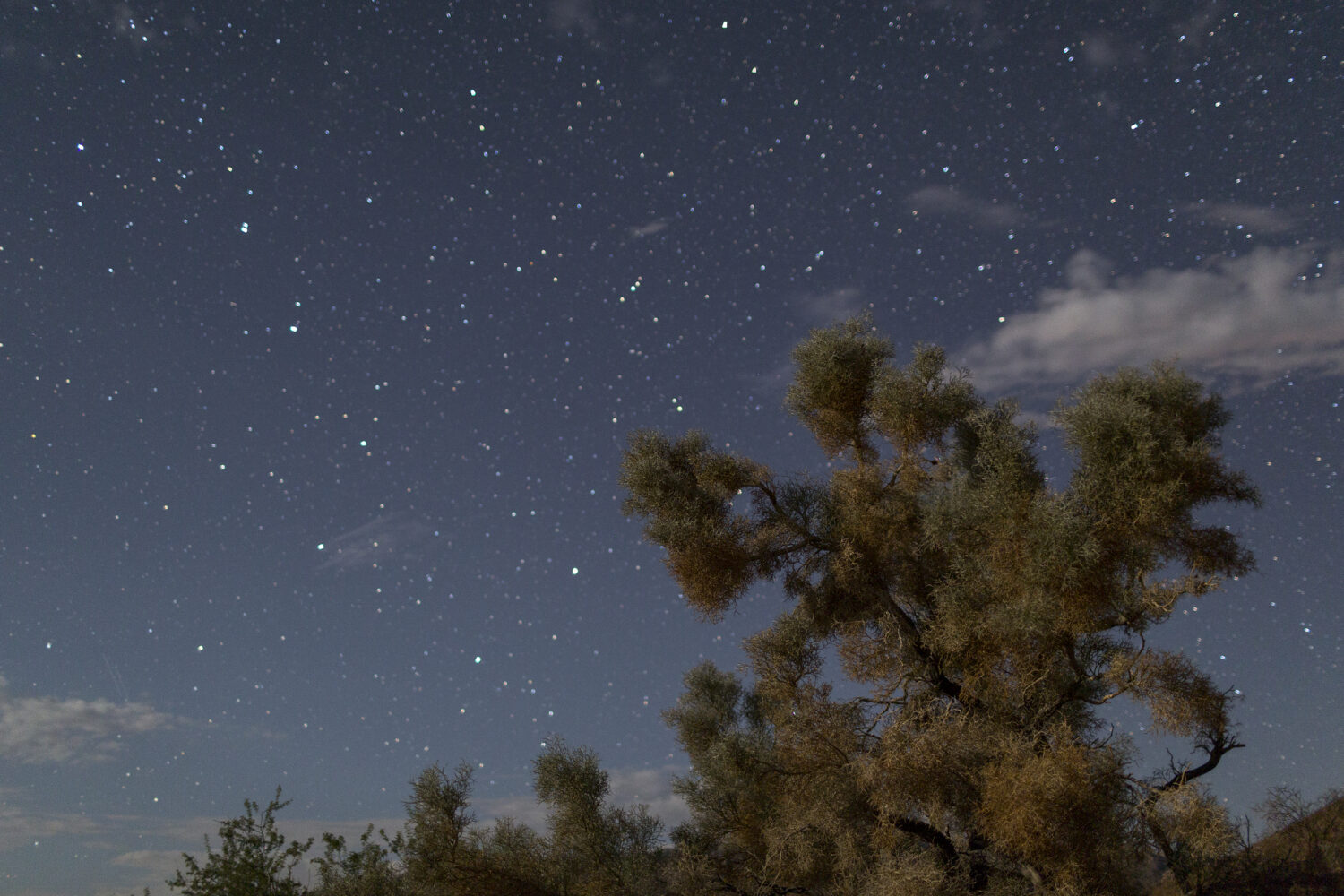 Photo by David McNew/Getty Images...