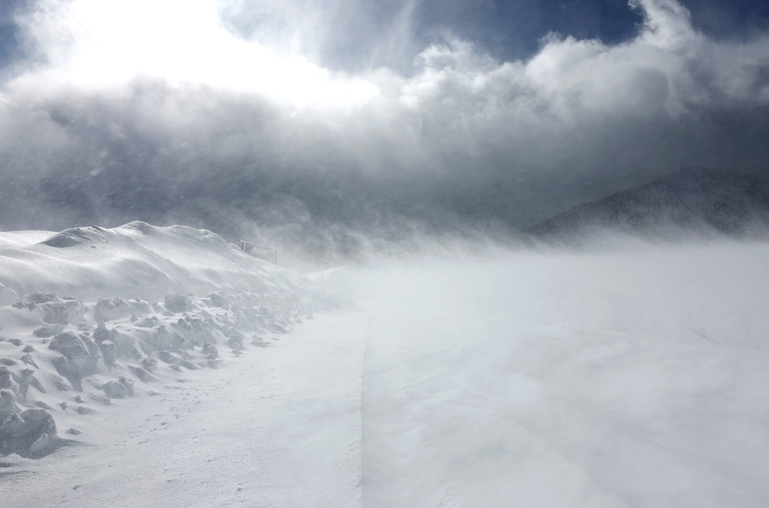 Photo by Mario Tama/Getty Images...