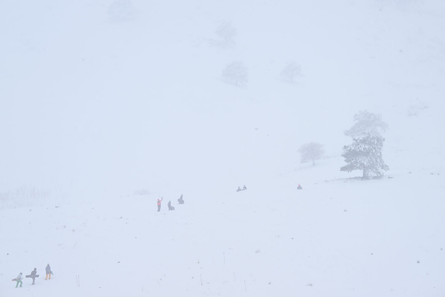 Colorado Mountains Snow...