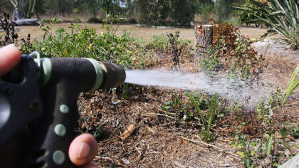 (Photo by Bradley Kanaris/Getty Images)...