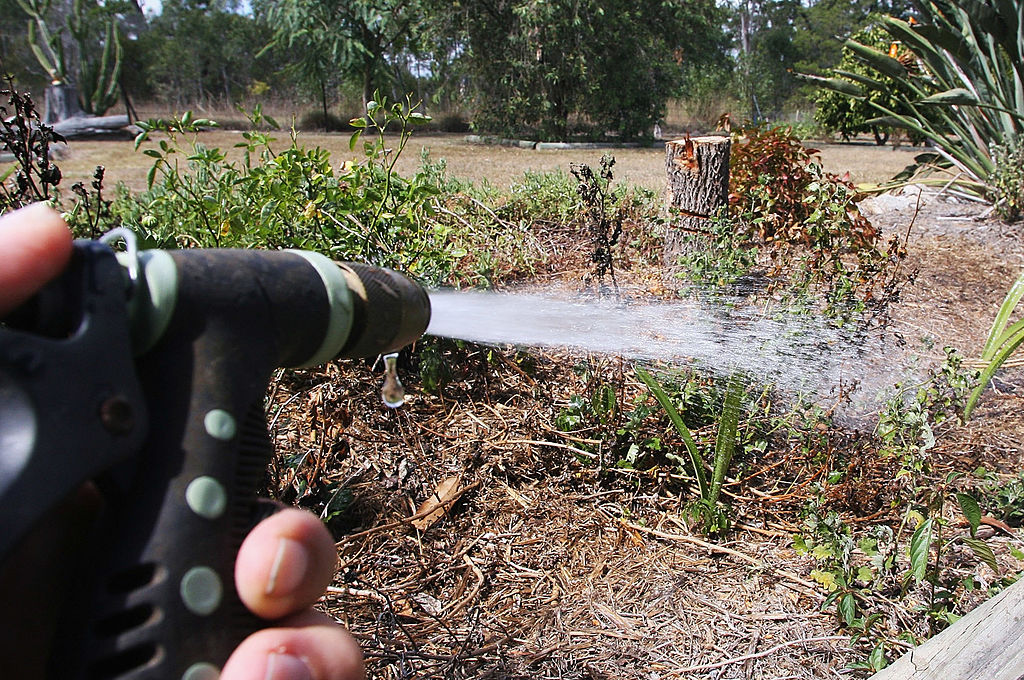 (Photo by Bradley Kanaris/Getty Images)...