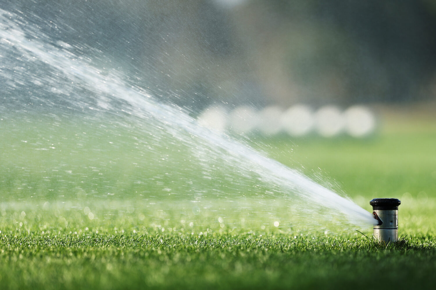 (Photo by Jeremy Ng/Getty Images)...