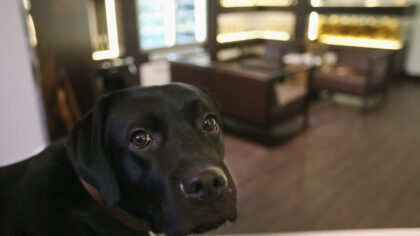 (Photo by Sean Gallup/Getty Images)...