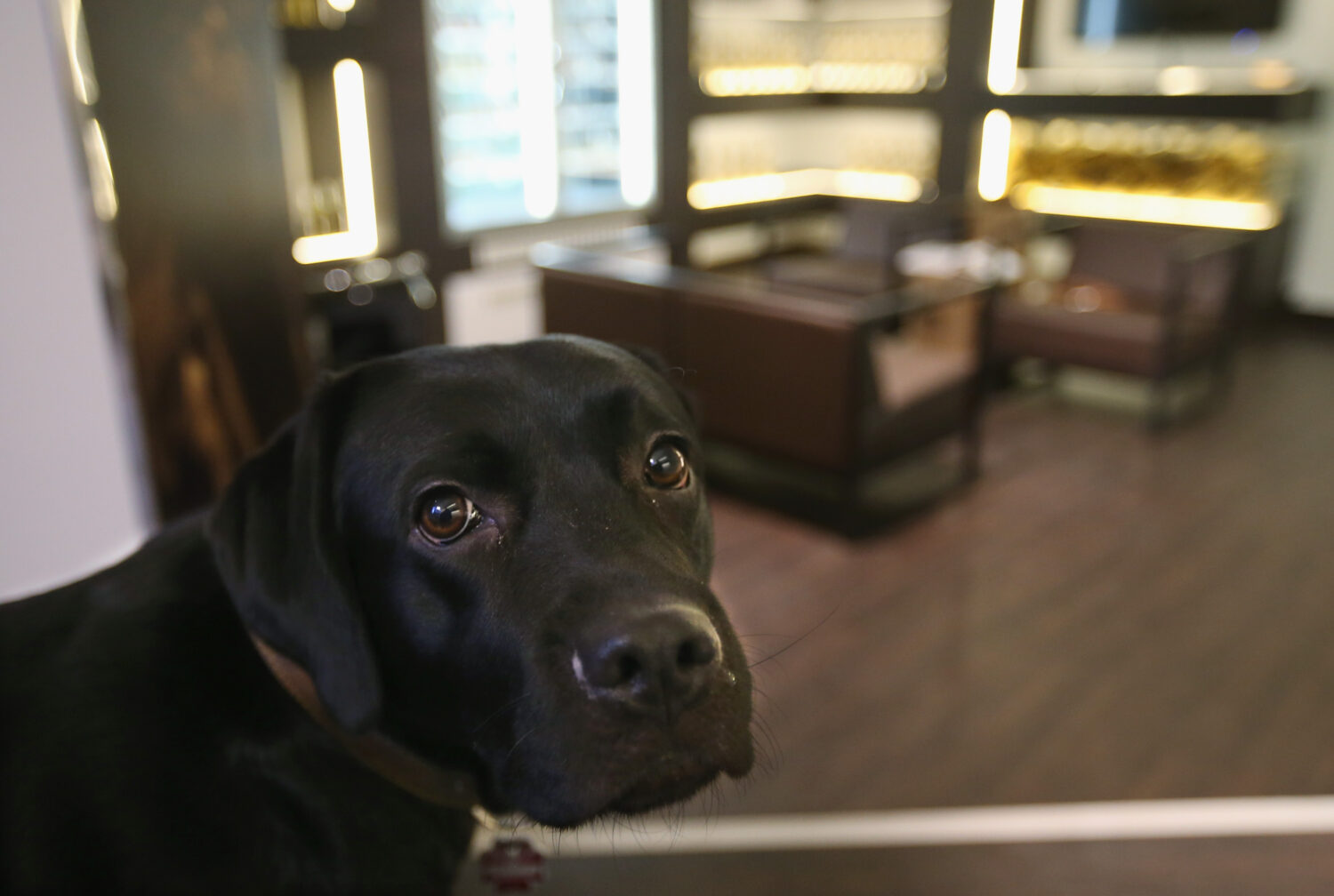 (Photo by Sean Gallup/Getty Images)...