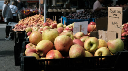 NEW YORK, NEW YORK - SEPTEMBER 29: People shop for fresh produce in a farmers market in Manhattan o...