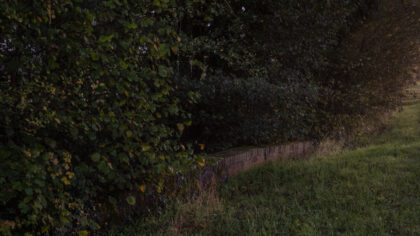 Photo by Carl Court/Getty Images...