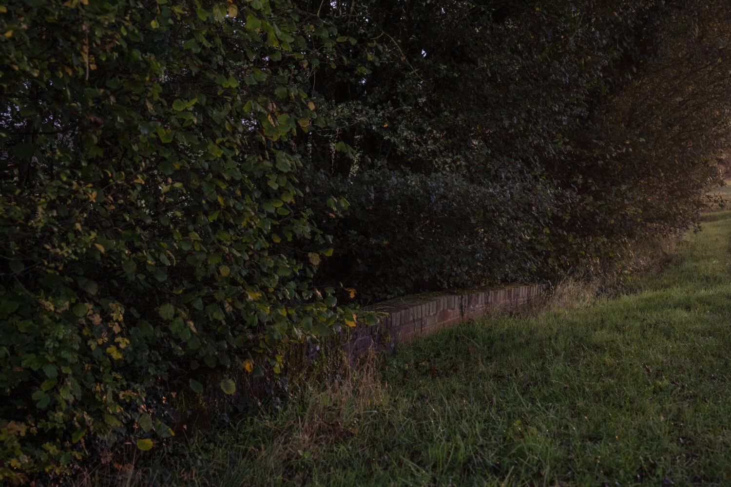 Photo by Carl Court/Getty Images...