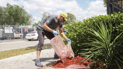 (Photo by Mireya Acierto/Getty Images for The Recording Academy)...