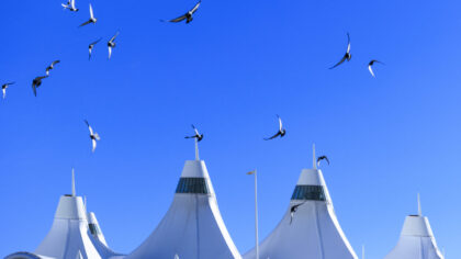 (Photo by Michael Ciaglo/Getty Images)...