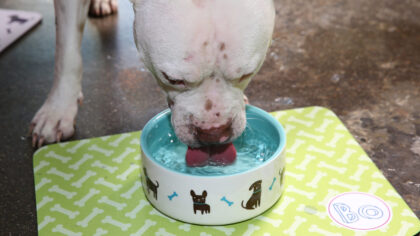 (Photo by Jonathan Leibson/Getty Images for Shutterfly)...