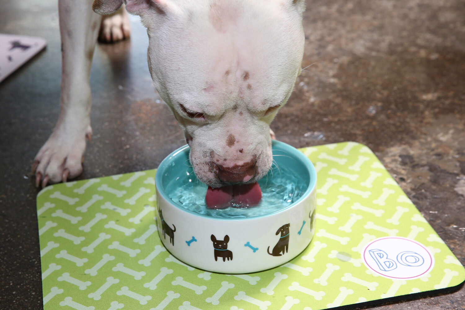 (Photo by Jonathan Leibson/Getty Images for Shutterfly)...