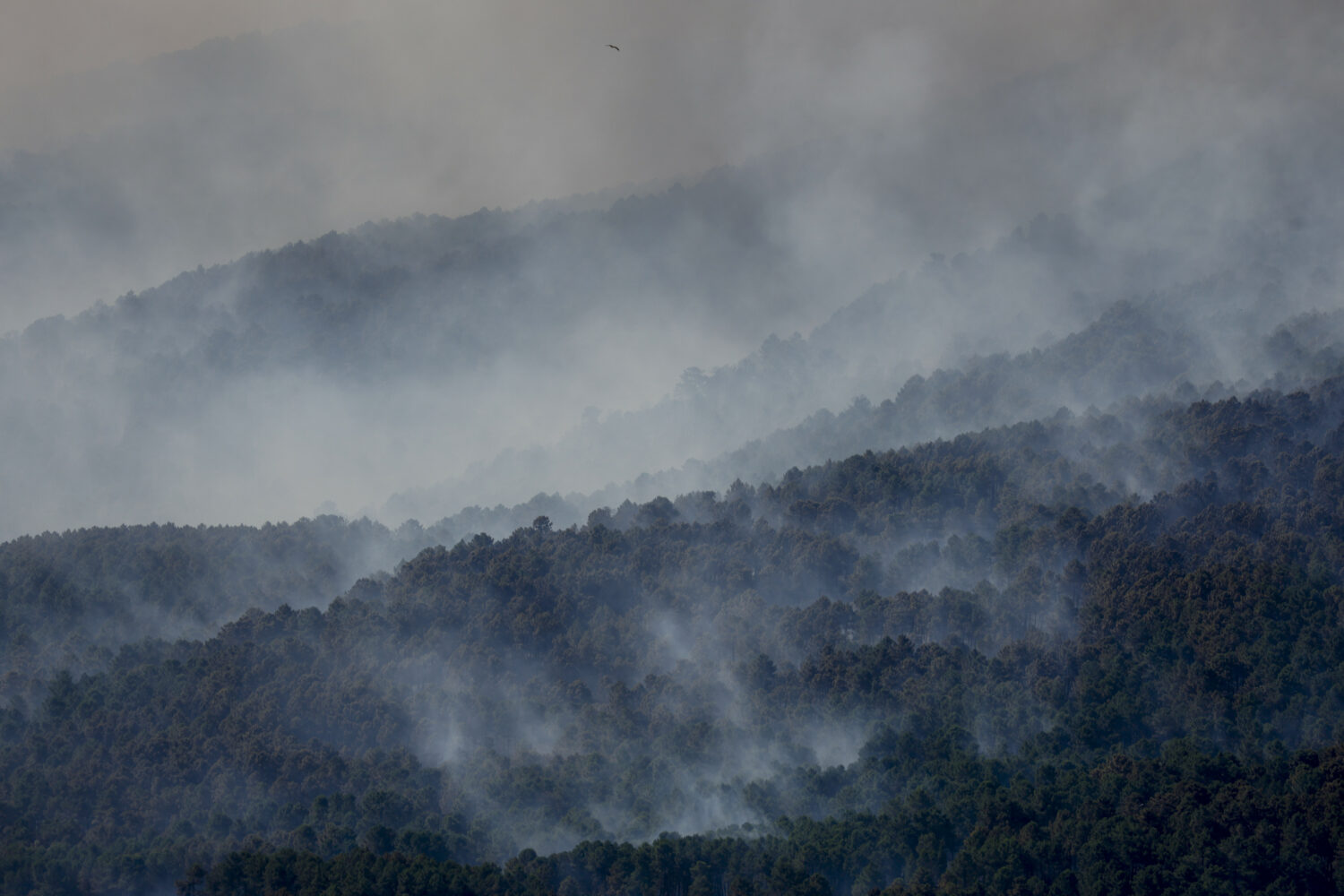 Penley Fire near Sedalia forces evacuations as crews battle blaze in Douglas County...