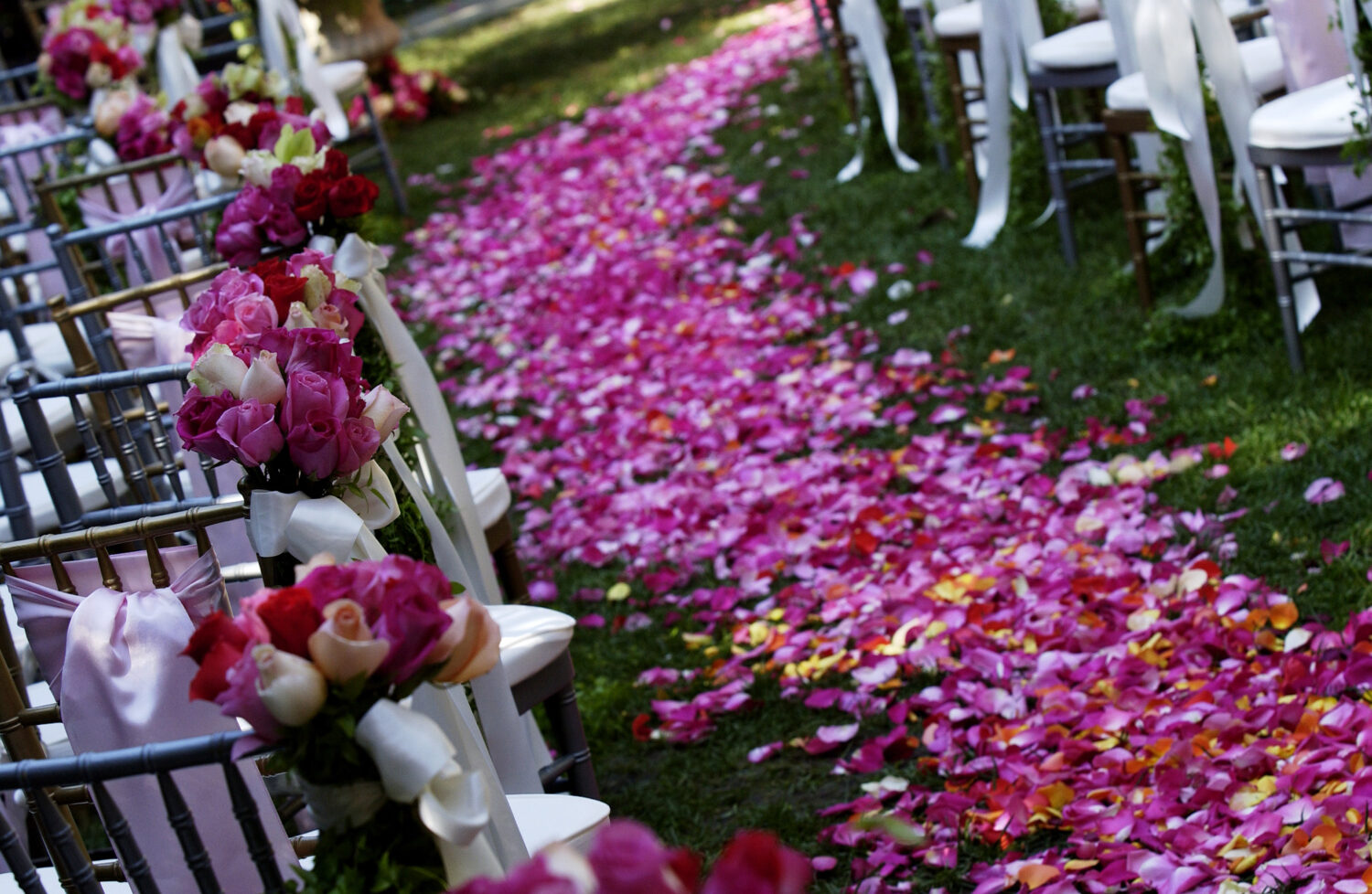 Photo by Vince Bucci/Getty Images...