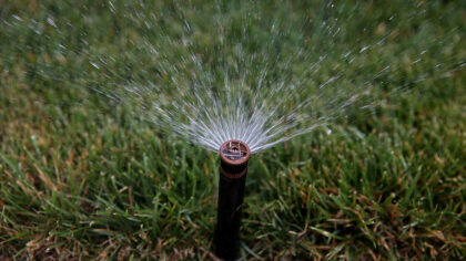 WALNUT CREEK, CA - APRIL 07:  A sprinkler waters a lawn on April 7, 2015 in Walnut Creek, Californi...