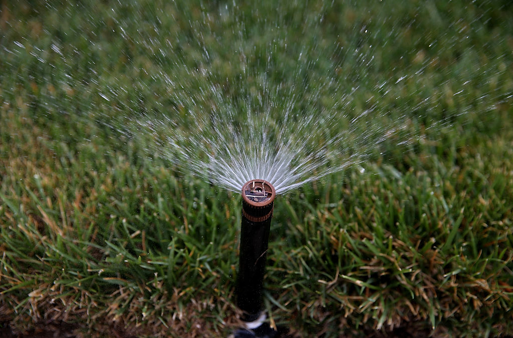 WALNUT CREEK, CA - APRIL 07:  A sprinkler waters a lawn on April 7, 2015 in Walnut Creek, Californi...