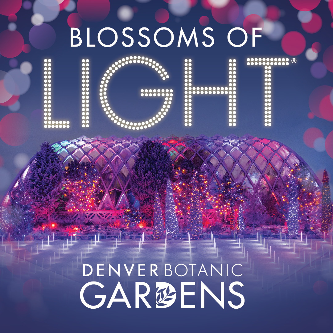 Blossoms of Light
