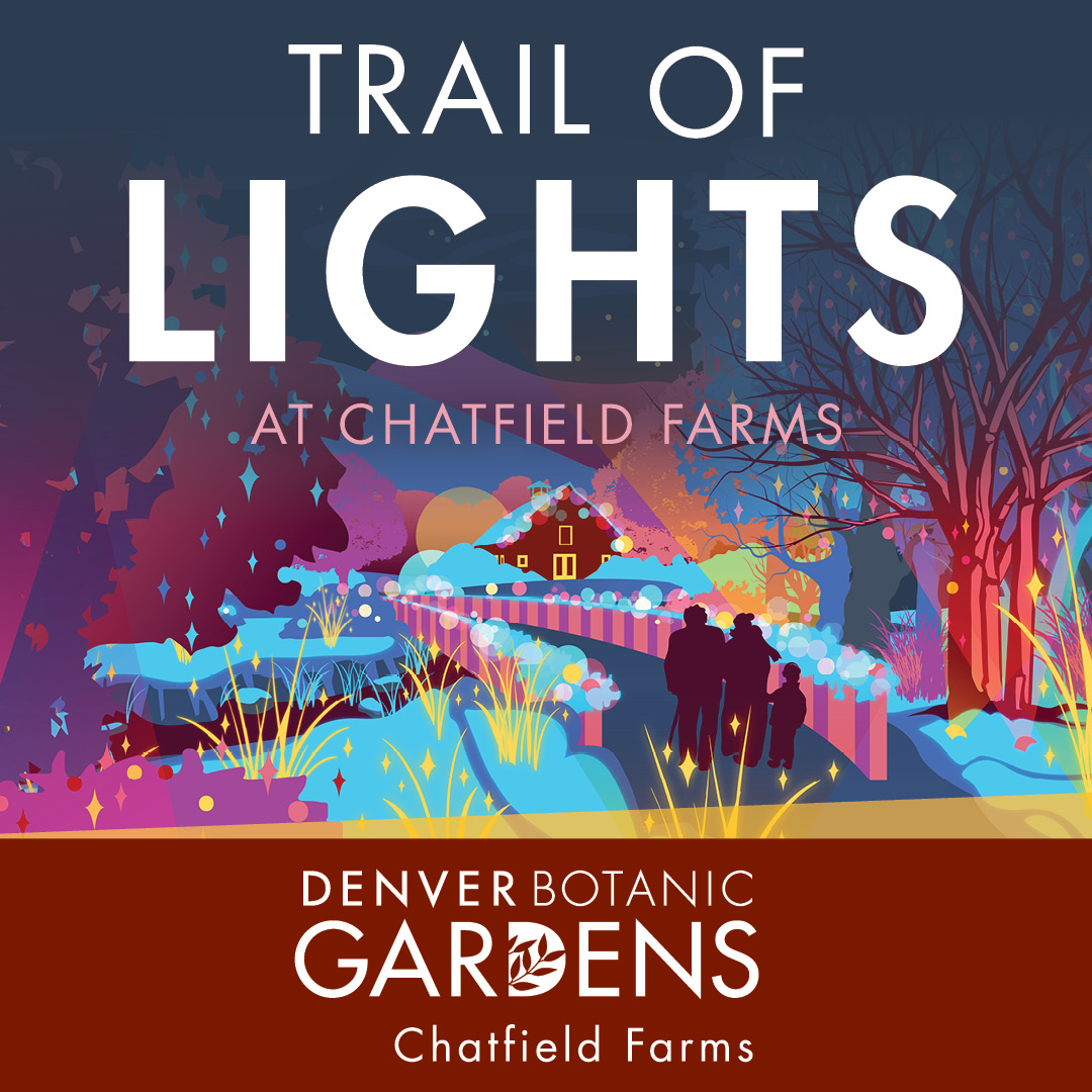Trail of Lights