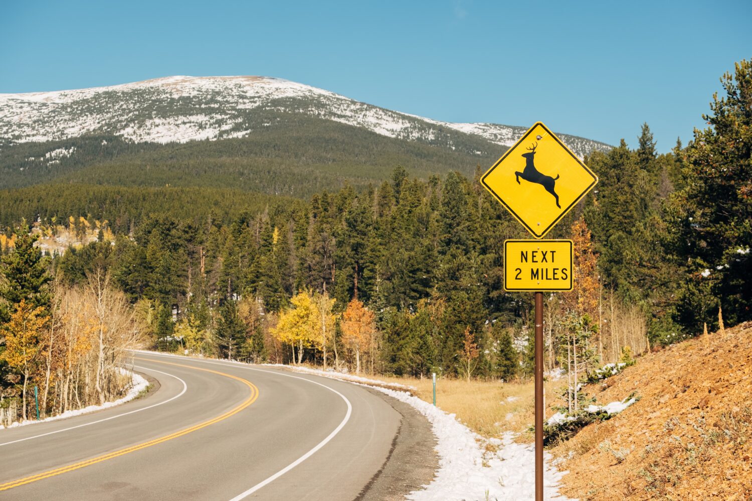 CSP announce "Wildlife Crash Season" is officially open....